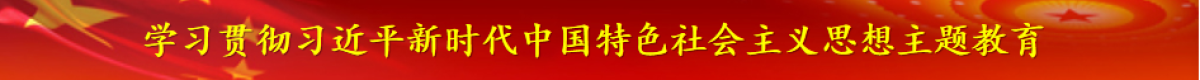 學(xué)習(xí)貫徹習(xí)近平新時(shí)代中國(guó)特色社會(huì)主義思想主題教育