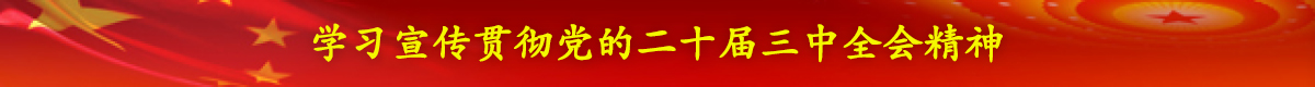 學(xué)習(xí)宣傳貫徹黨的二十屆三中全會(huì)精神
